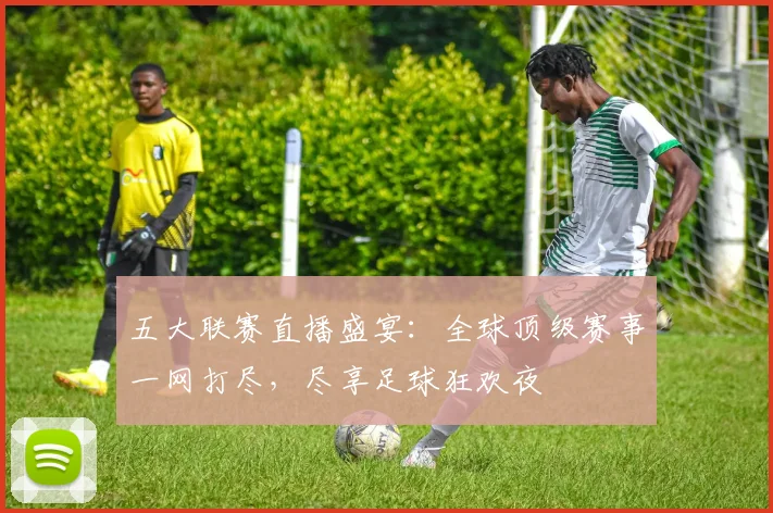 五大联赛直播盛宴:全球顶级赛事一网打尽,尽享足球狂欢夜
