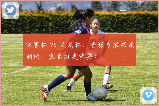 联赛杯 vs 足总杯：资深专家深度剖析，究竟谁更重要？